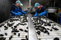 De voordelen van tweedehands machines in de voedingsindustrie